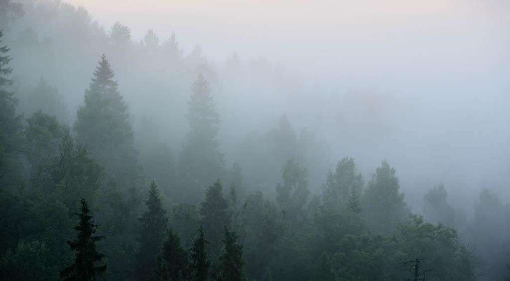 Фотообои в интерьере рассвет в тумане  9-1166 фото