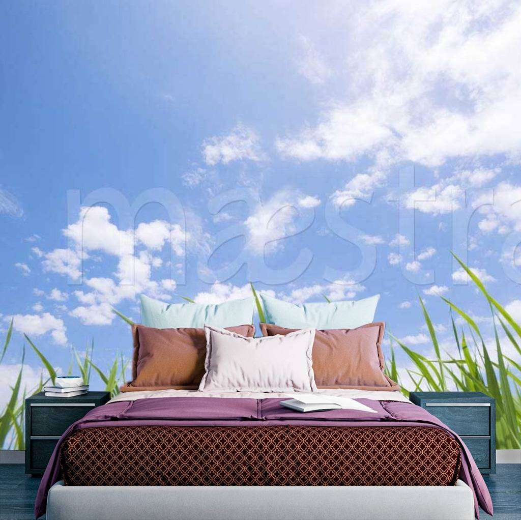 Фотообои Зеленая трава и светлое небо  9-355