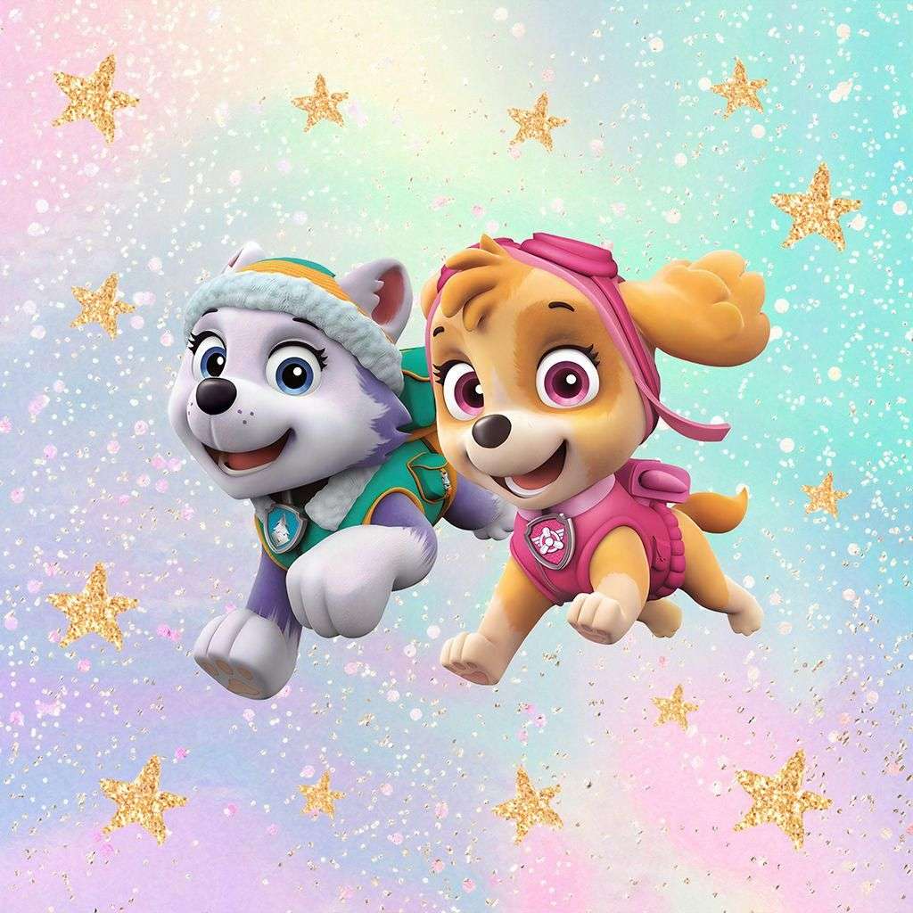 Фотообои в интерьере щенячий патруль в небе  14-378 фото