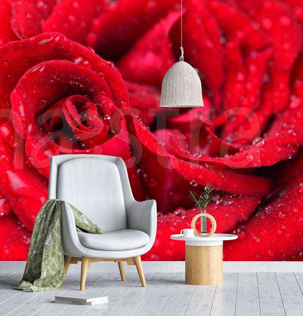 Фотообои Бесшовные обои на стену:  Красная роза с каплями росы. Артикул: 10-273  