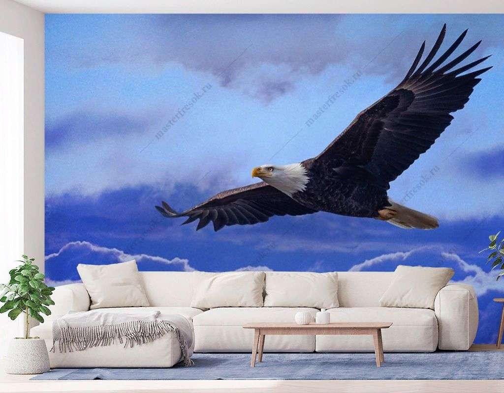 Фотообои в интерьере парящий орел    9-1893 фото