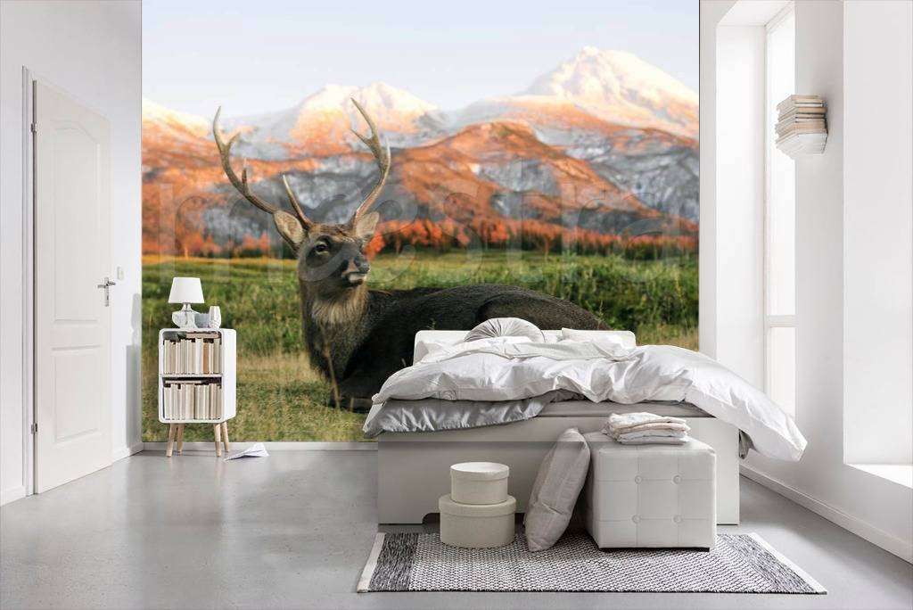 Фотообои Олень в поле  4-166