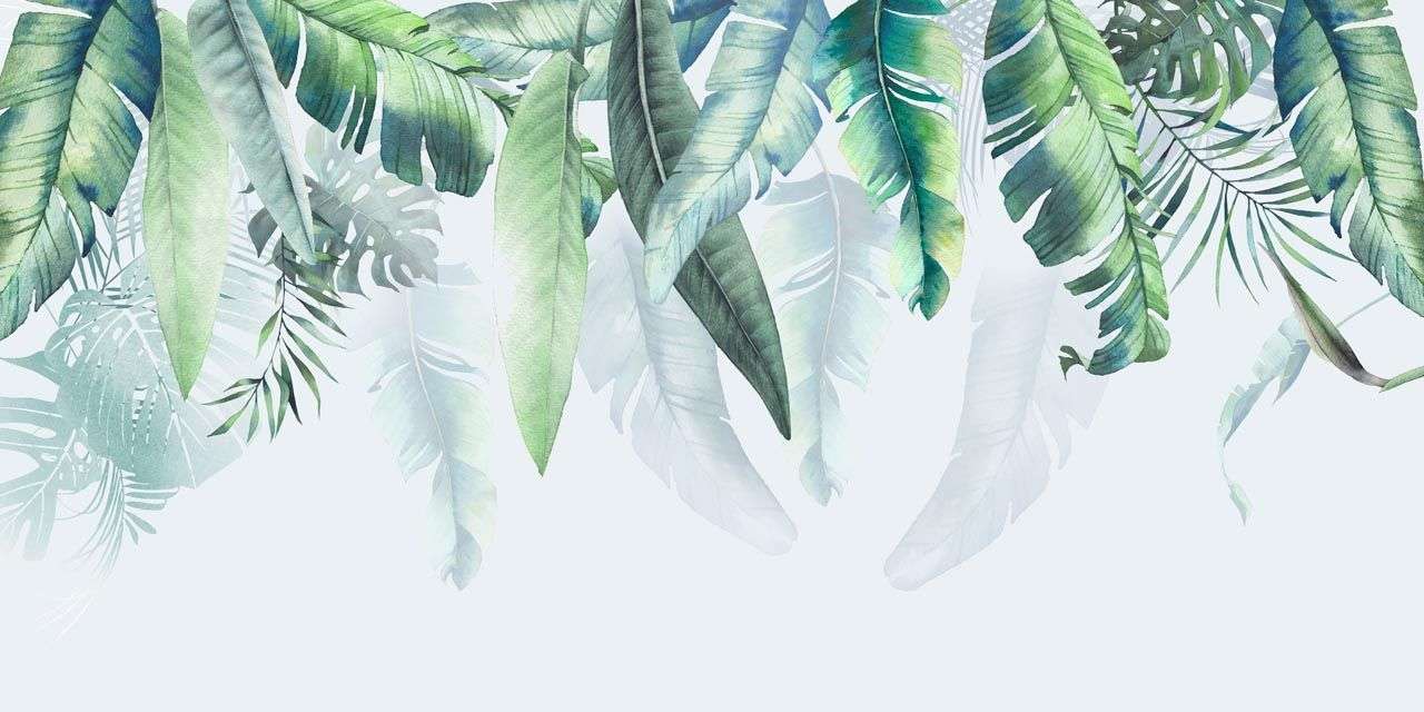 Фотообои в интерьере тропические листья сверху  13-504 фото