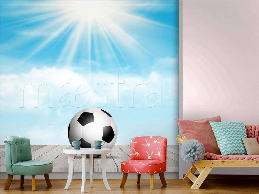 Фотообои в интерьере мяч на солнце  12-527 фото