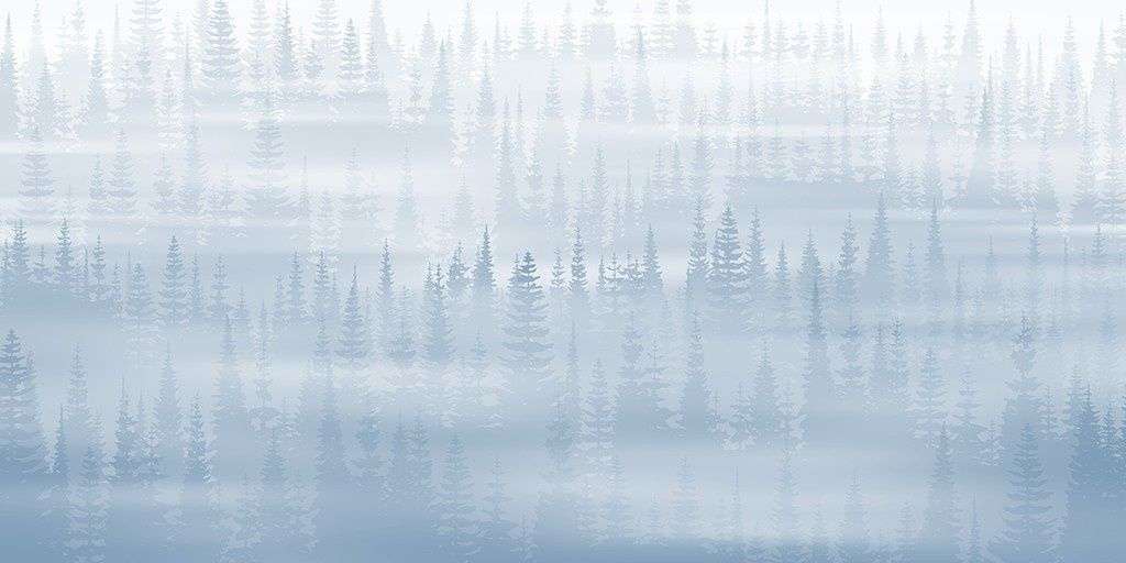 Фотообои в интерьере фон лес туманный  9-2032 фото