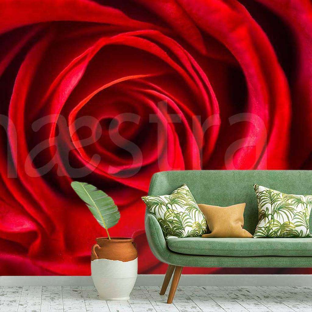 Фотообои Красная роза пленительная  10-286