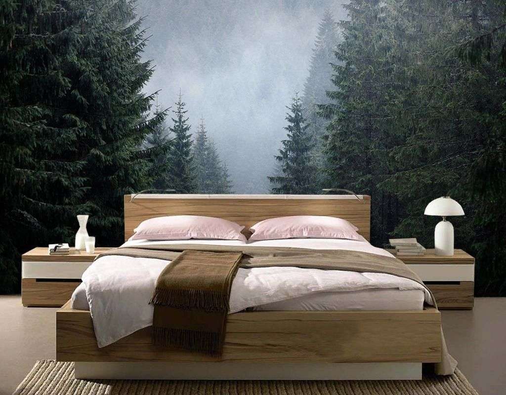 Фотообои в интерьере ущелье в сосновом лесу  9-1934 фото