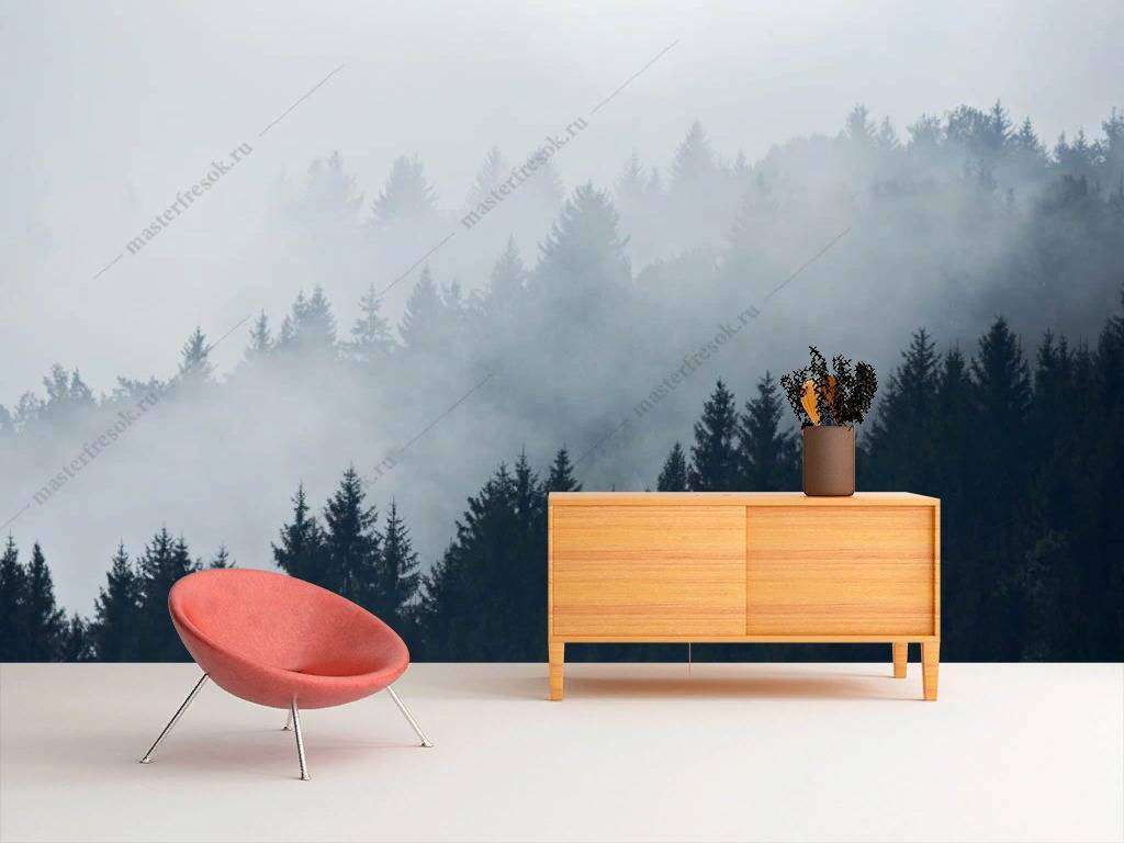 Фотообои в интерьере утро в тумане  9-1168 фото