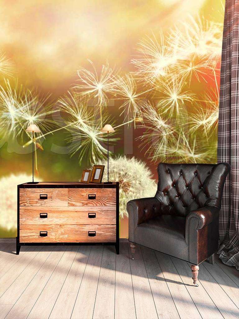 Фотообои Поле белых одуванчиков  10-071