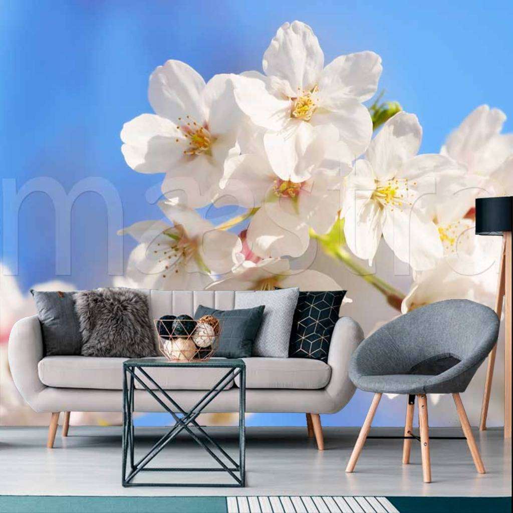 Фотообои Весеннее цветение вишни  10-023