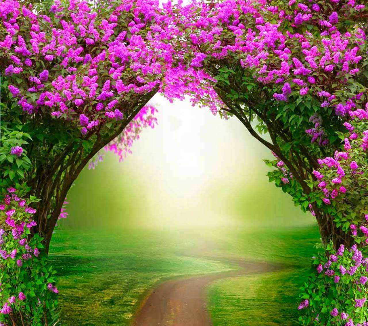 Фотообои в интерьере арка сирени  10-055 фото