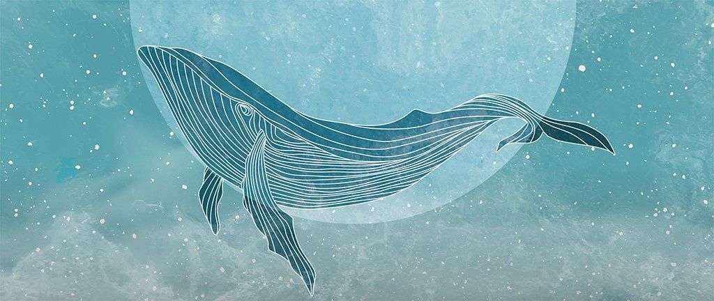 Фотообои в интерьере кит в море  12-1660 фото