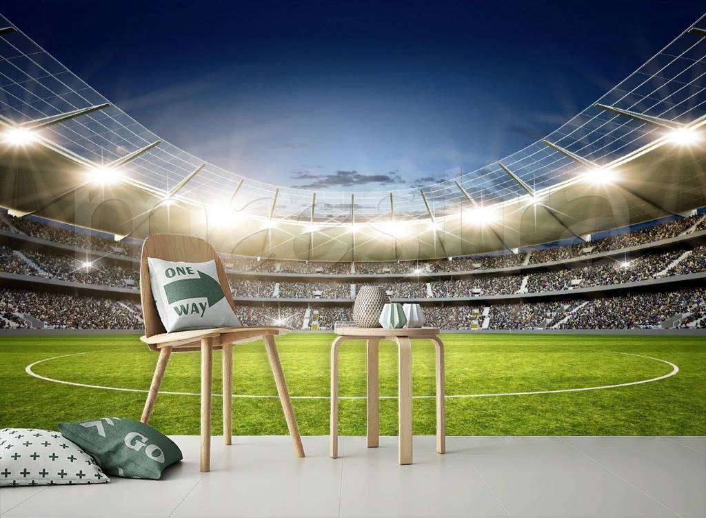 Фотообои Футбольное поле  12-549