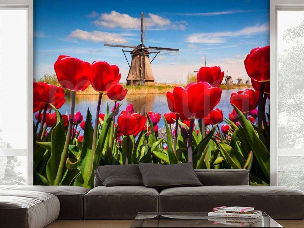 Фотообои Красные тюльпаны  10-139