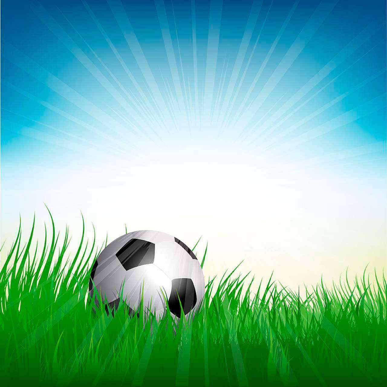 Фотообои в интерьере мяч в траве на солнце  12-551 фото