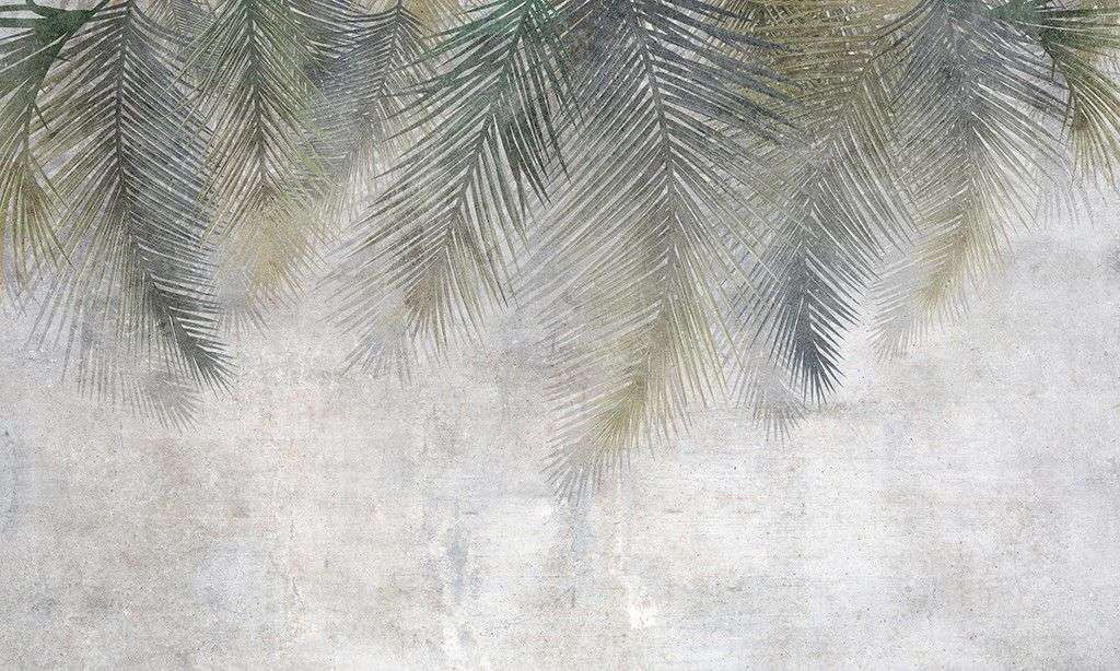 Фотообои в интерьере листья свисающие серо-зеленые  9-1866 фото