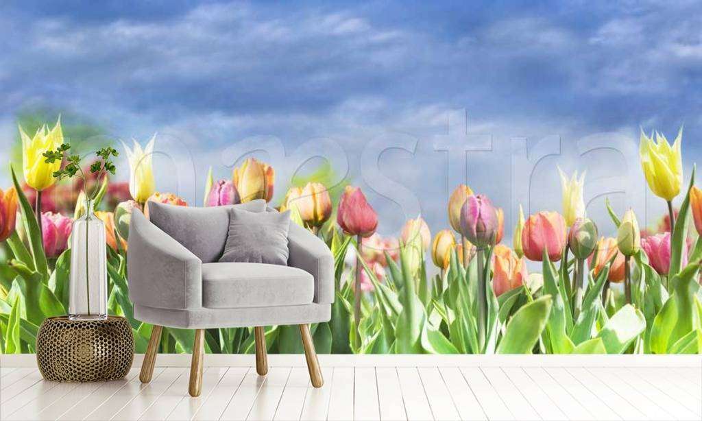 Фотообои Разноцветные тюльпаны под голубым небом  10-149