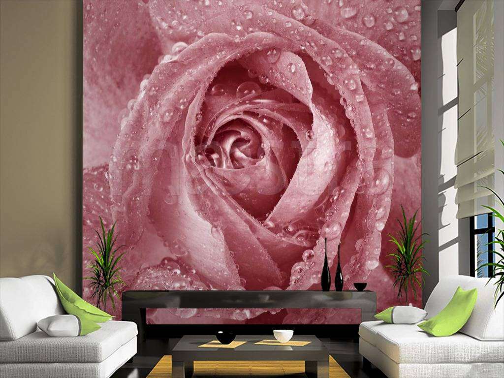 Фотообои Бутон розы с каплями росы  10-267