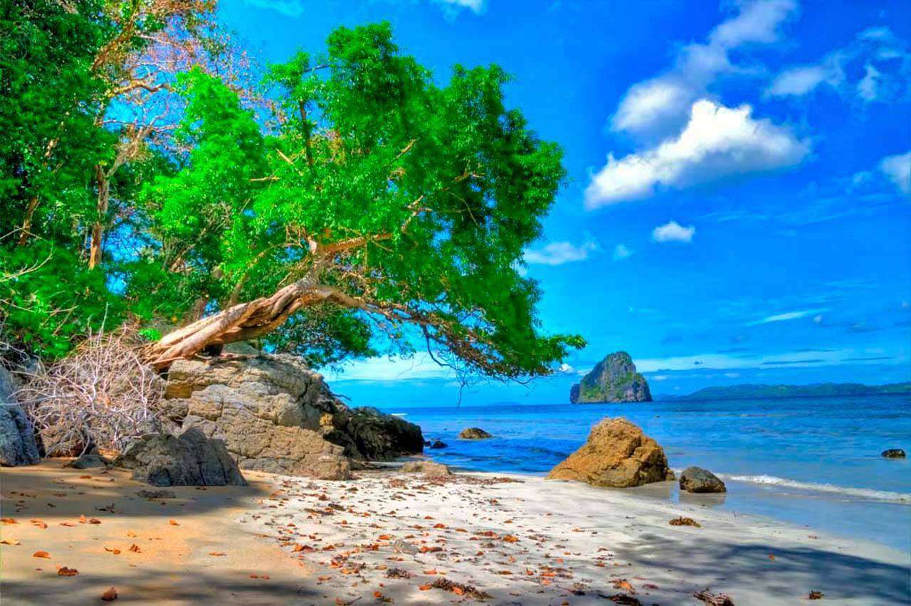 Фотообои в интерьере пустынный берег  4-348 фото