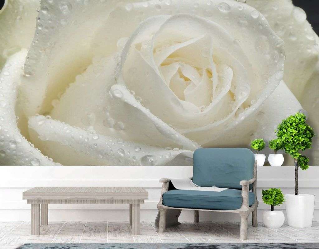 Фотообои в интерьере роза белая большая  9-1955 фото