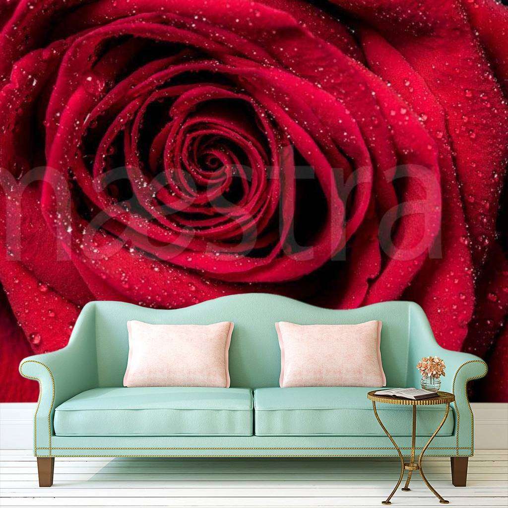 Фотообои Красная роза изумительная  10-287