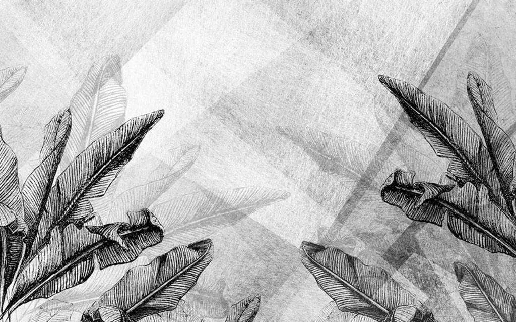 Фотообои в интерьере серый папоротник  15-611 фото