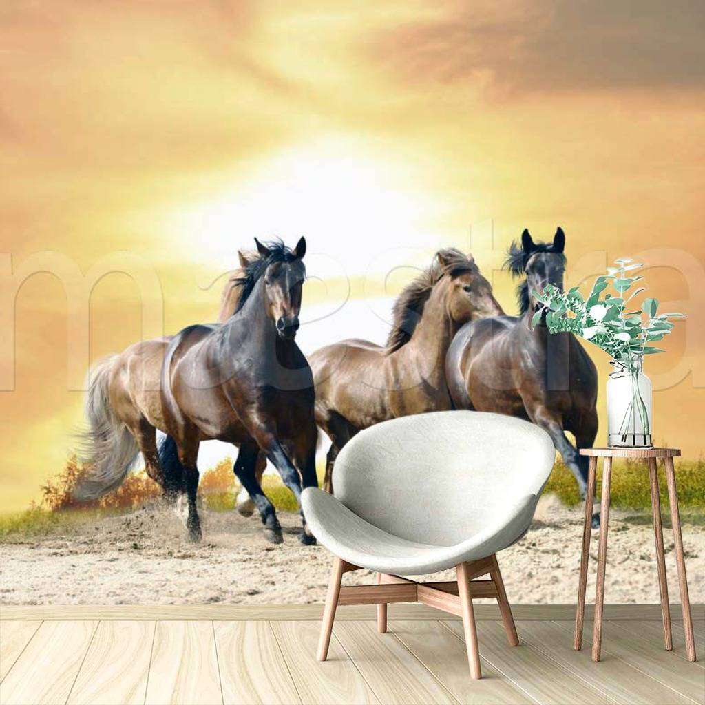 Фотообои Лошади на фоне заката  4-154
