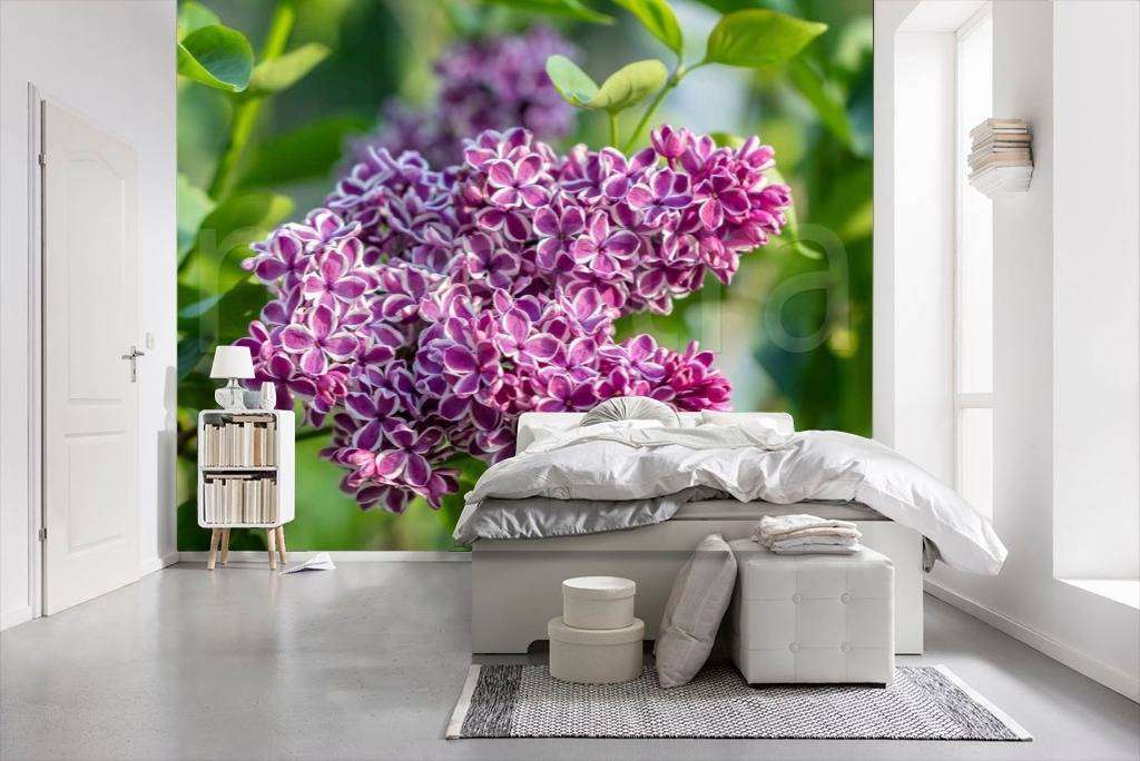 Фотообои Сирень весной  10-046