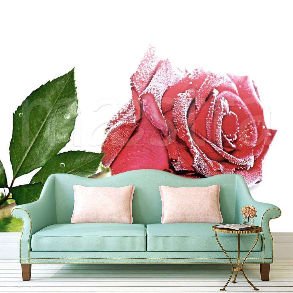 Фотообои Художественная роза над водой  10-266