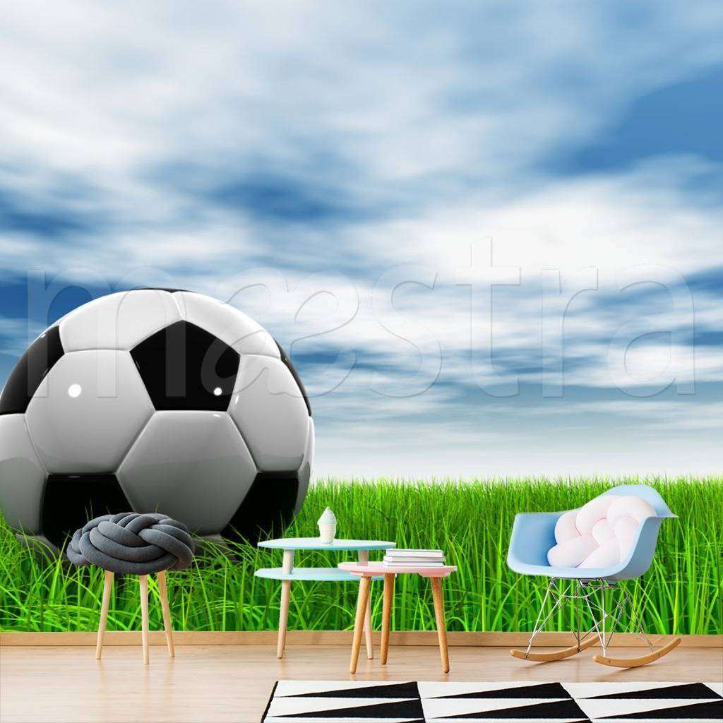 Фотообои в интерьере мяч на фоне неба  12-531 фото
