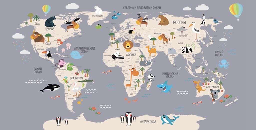 Фотообои в интерьере карта цветная на сером фоне  12-1009 фото