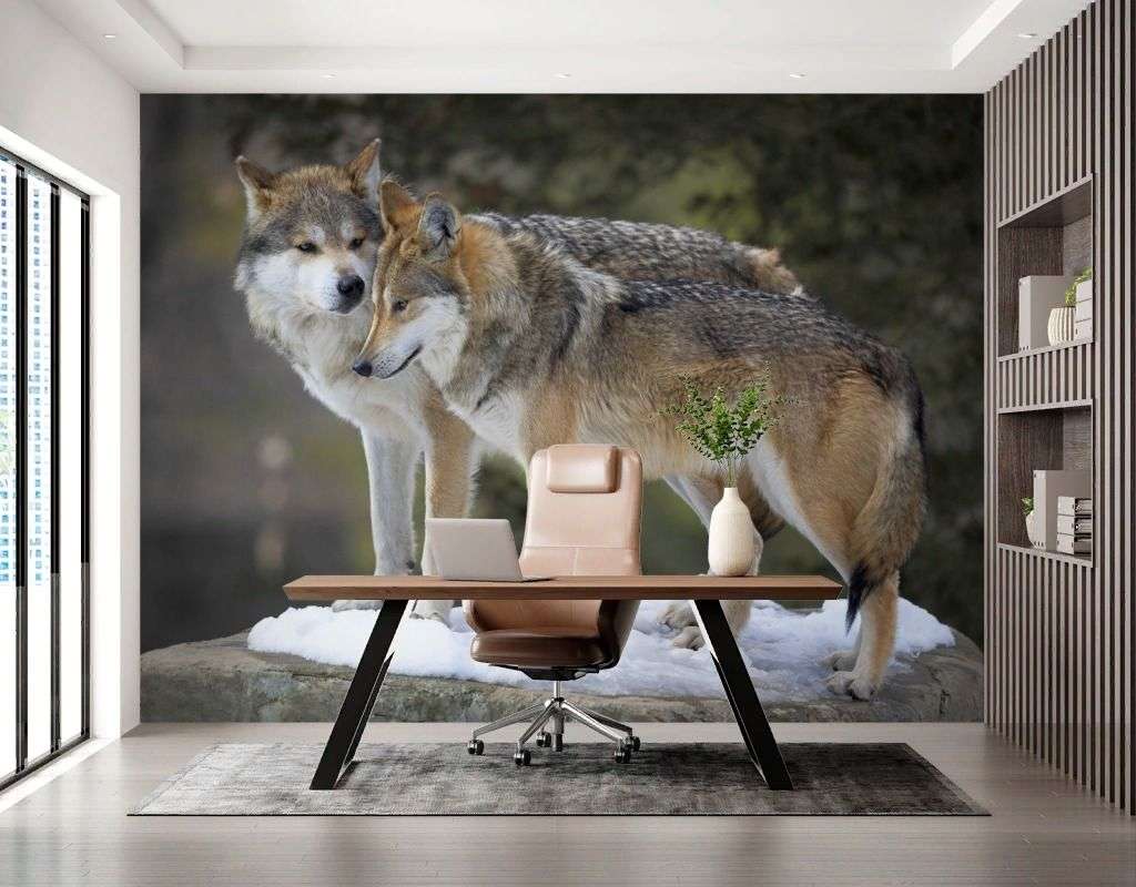 Фотообои в интерьере волки. двое.  9-2068 фото