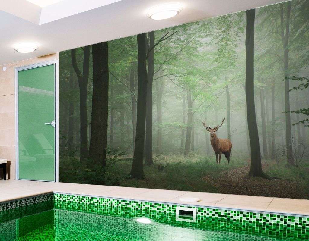 Фотообои в интерьере зеленый лес с оленем  9-1530 фото