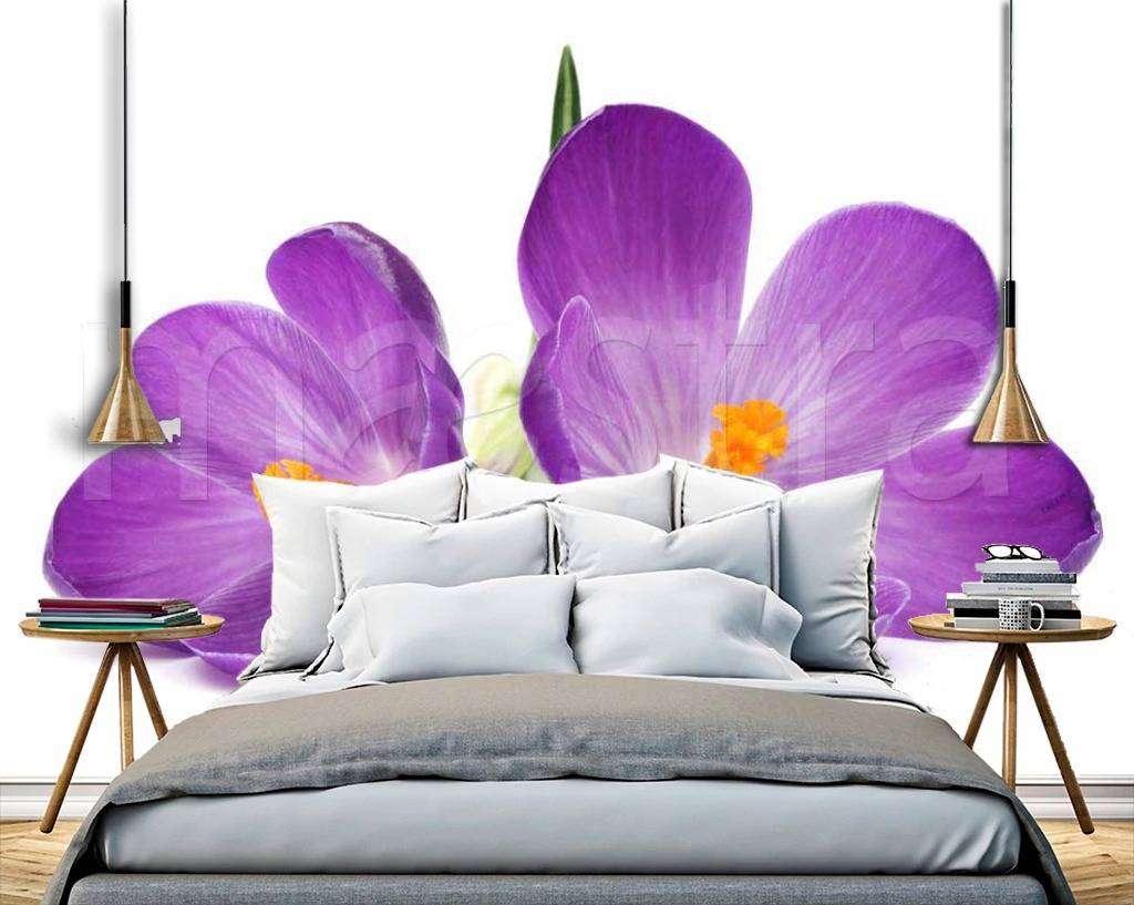 Фотообои Крокусы  9-057