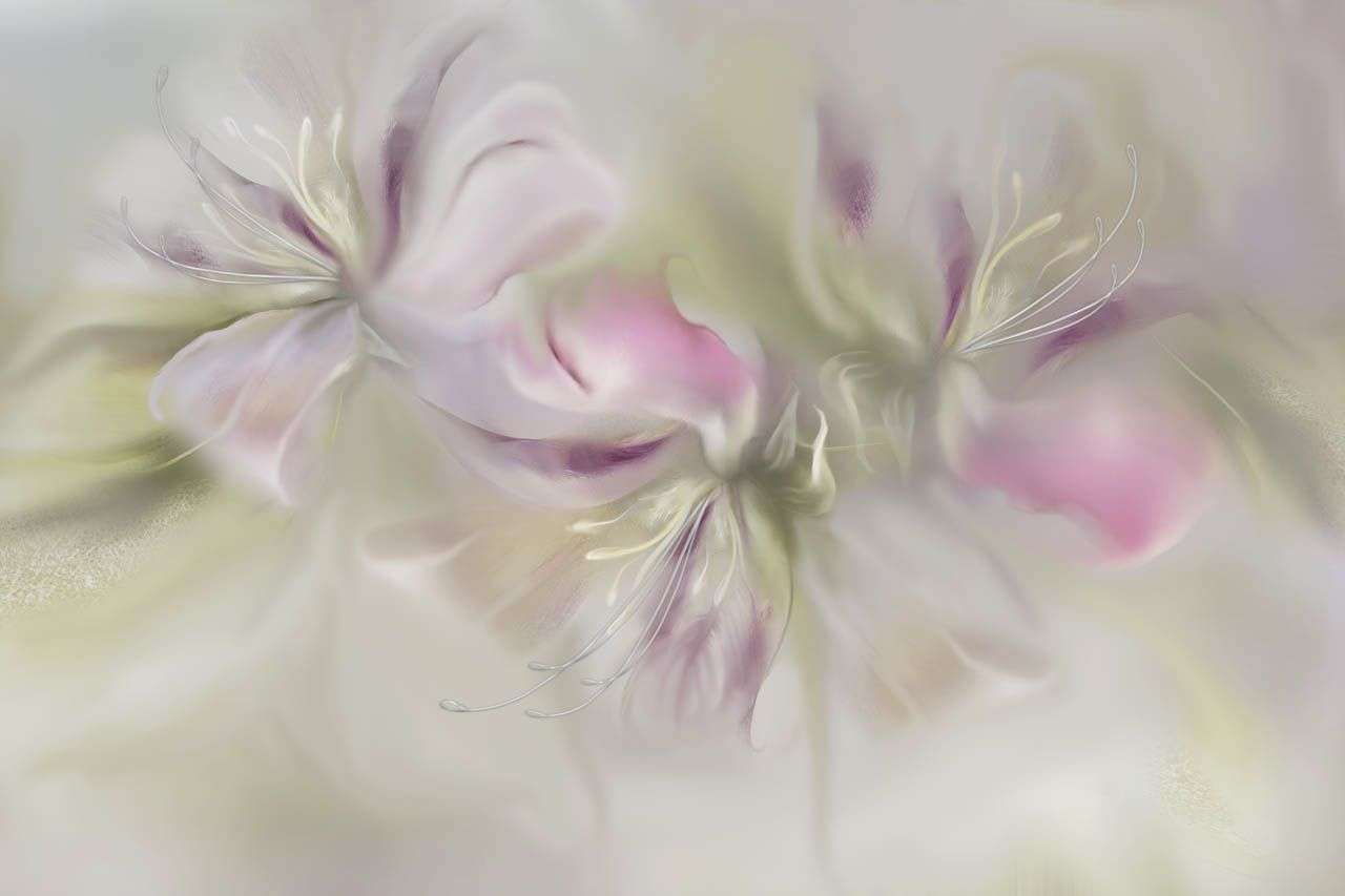 Фотообои в интерьере цветы бежевые  13-736 фото