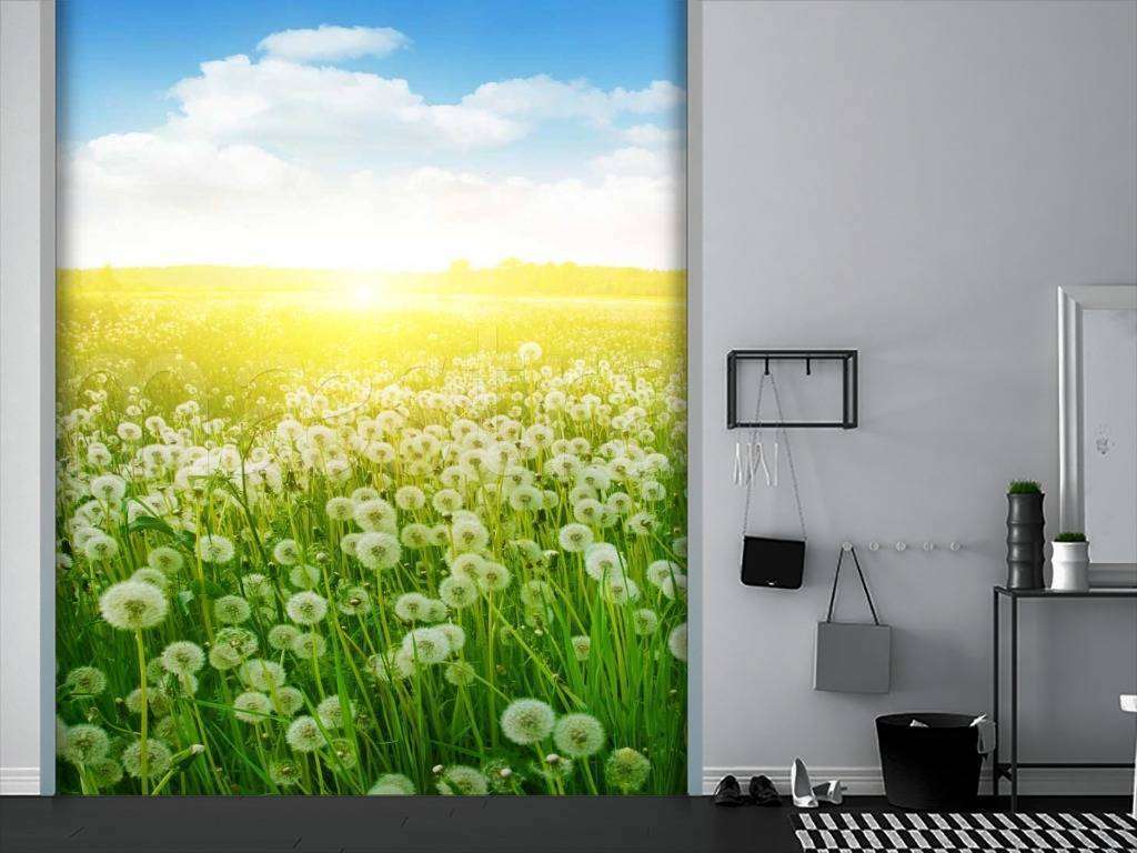 Фотообои Одуванчики на поле  10-063