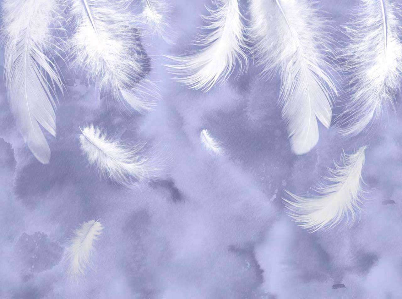 Фотообои в интерьере пушистые перышки  7-937 фото