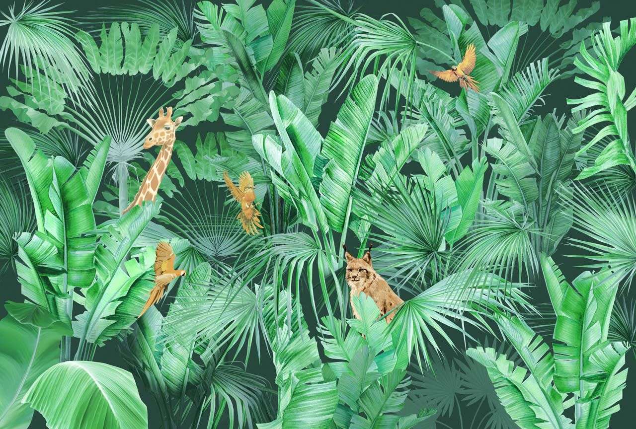 Фотообои в интерьере тропики и попугаи  13-710 фото