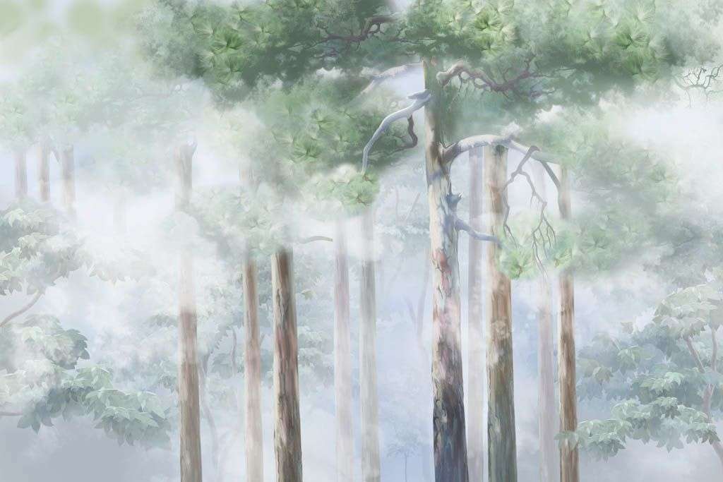 Фотообои в интерьере сосновый лес  13-631 фото