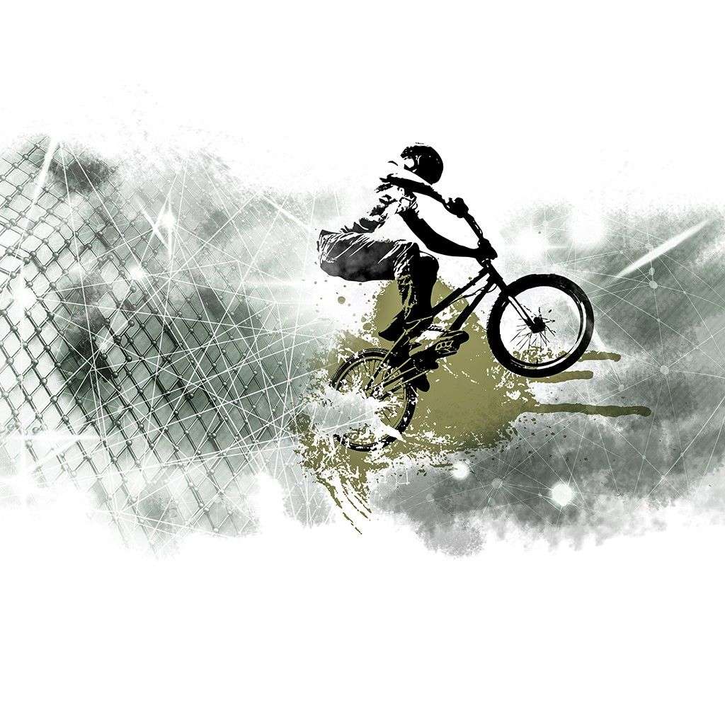 Фотообои в интерьере горный велосипед  12-1408 фото