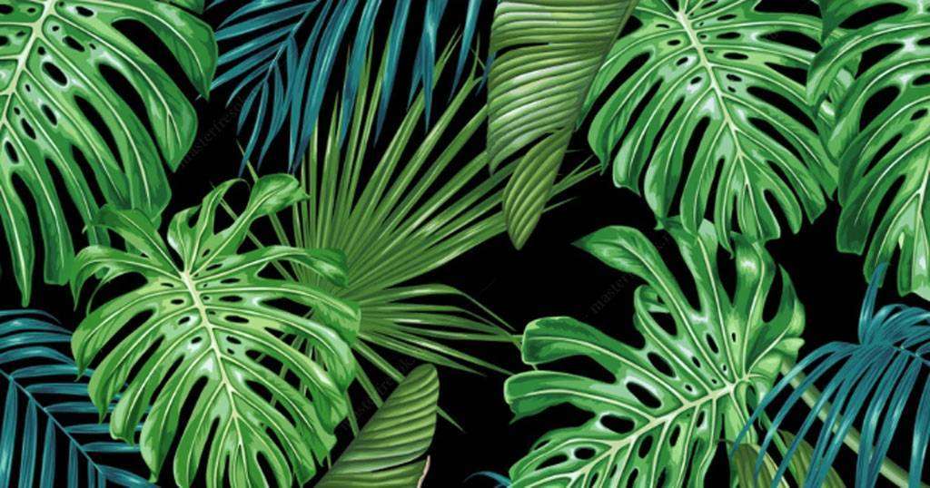 Фотообои в интерьере монстера на черном фоне  15-549 фото