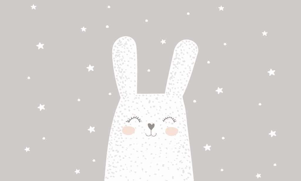 Фотообои в интерьере кролик белый  12-884 фото