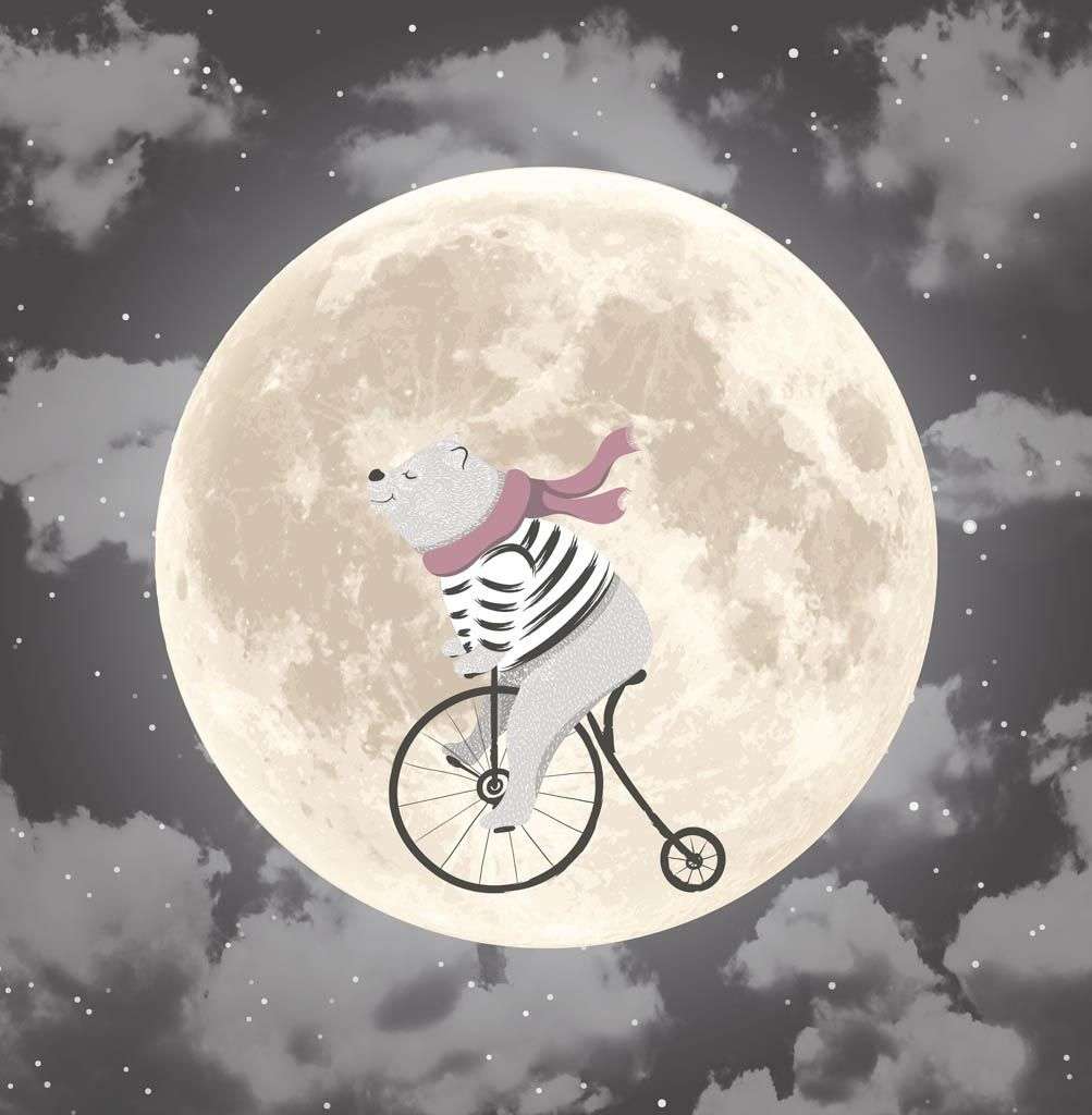 Фотообои в интерьере мишка на луне  14-277 фото