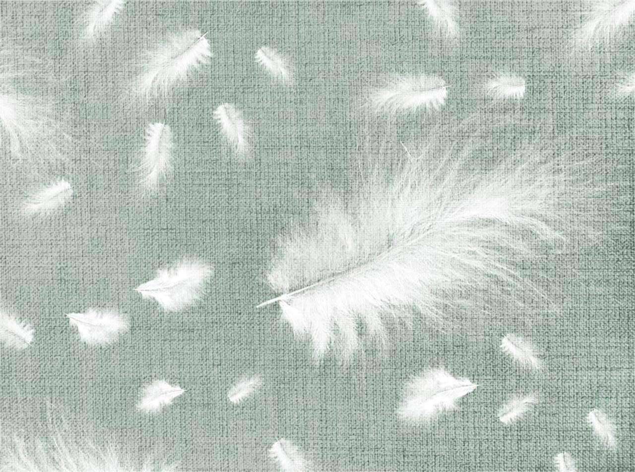 Фотообои в интерьере пушистые белые перья  7-944 фото