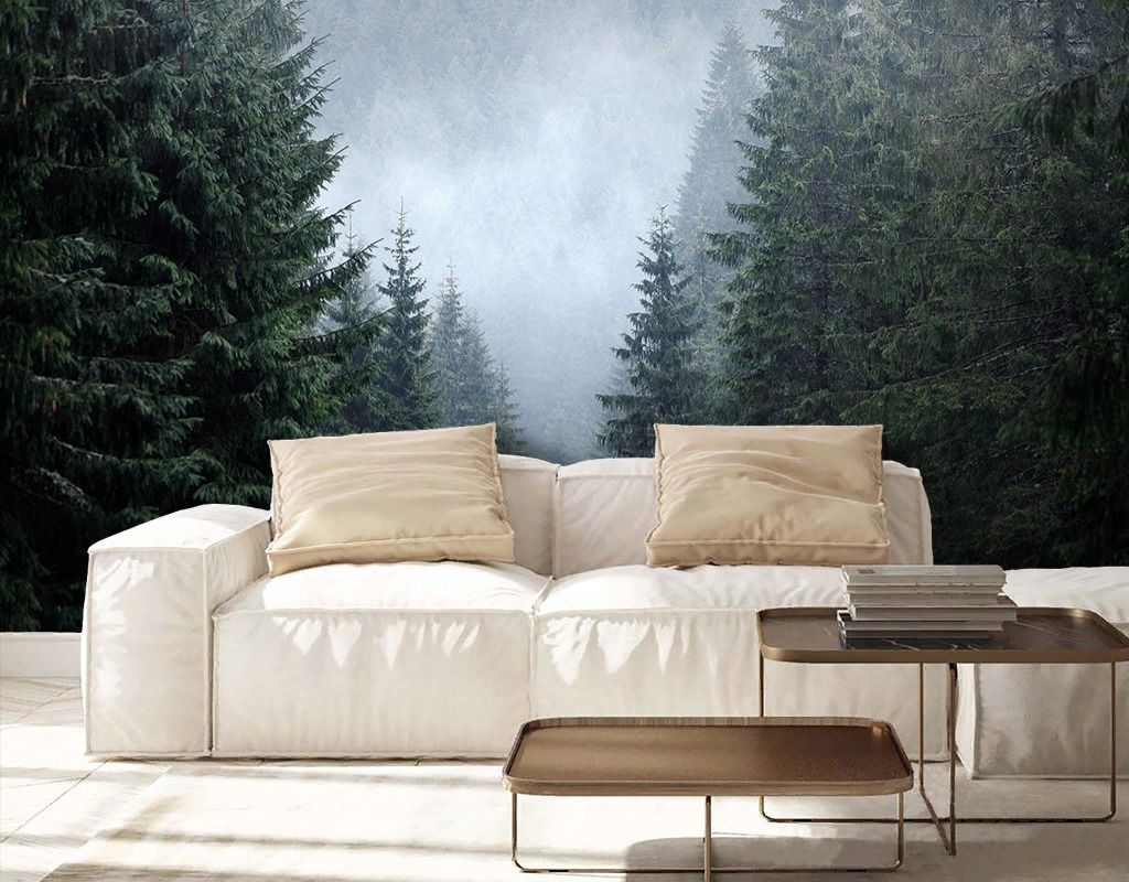 Фотообои Ущелье в сосновом лесу  9-1934