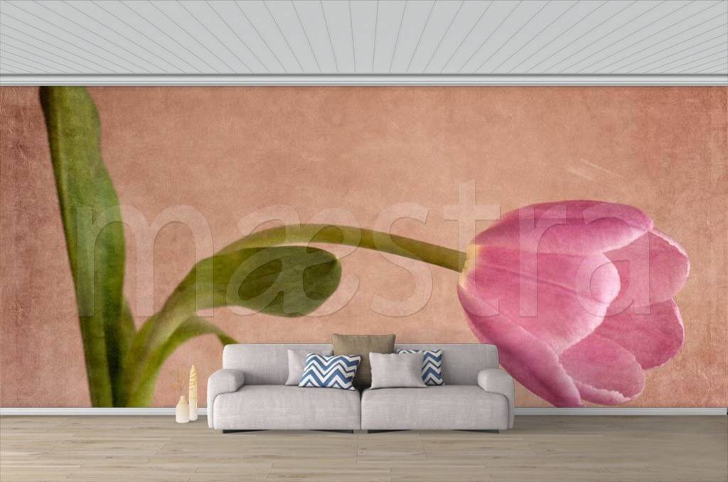 Фотообои Тюльпан в стиле прованс  3-174