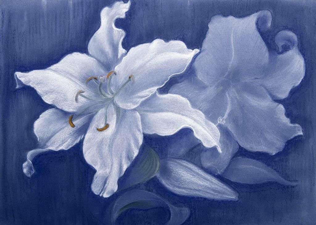 Фотообои в интерьере нарисованная лилия  9-1181 фото