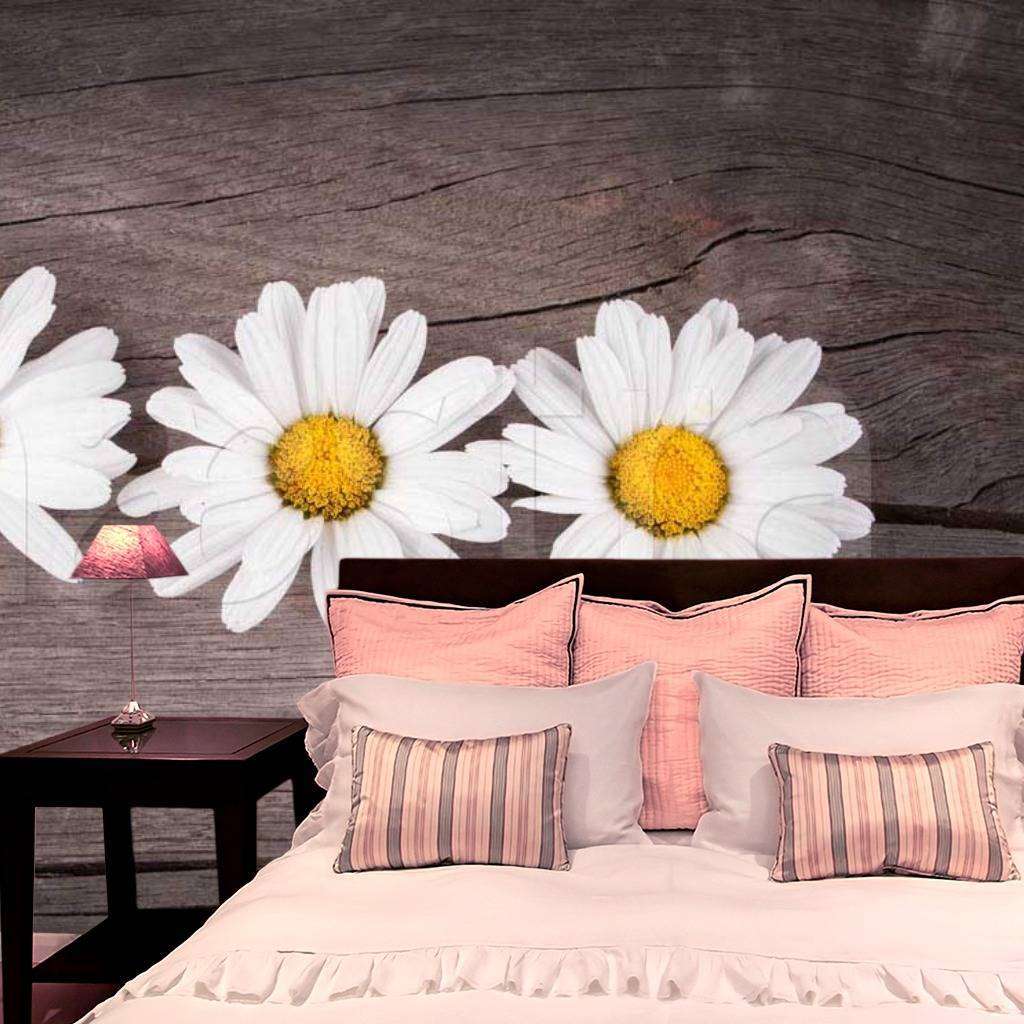 Фотообои Ромашки на деревянной доске  10-334