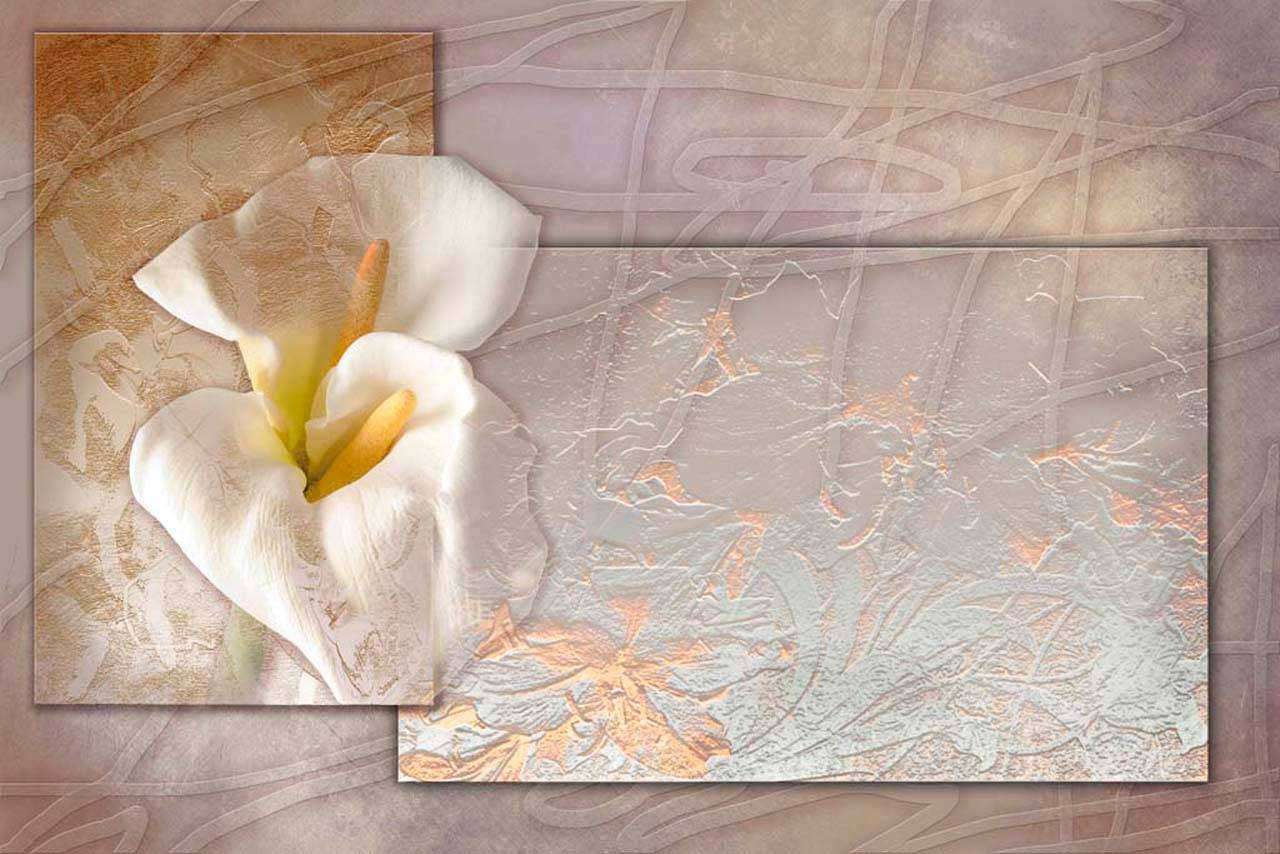 Фотообои в интерьере 3d фантазии  5-146 фото