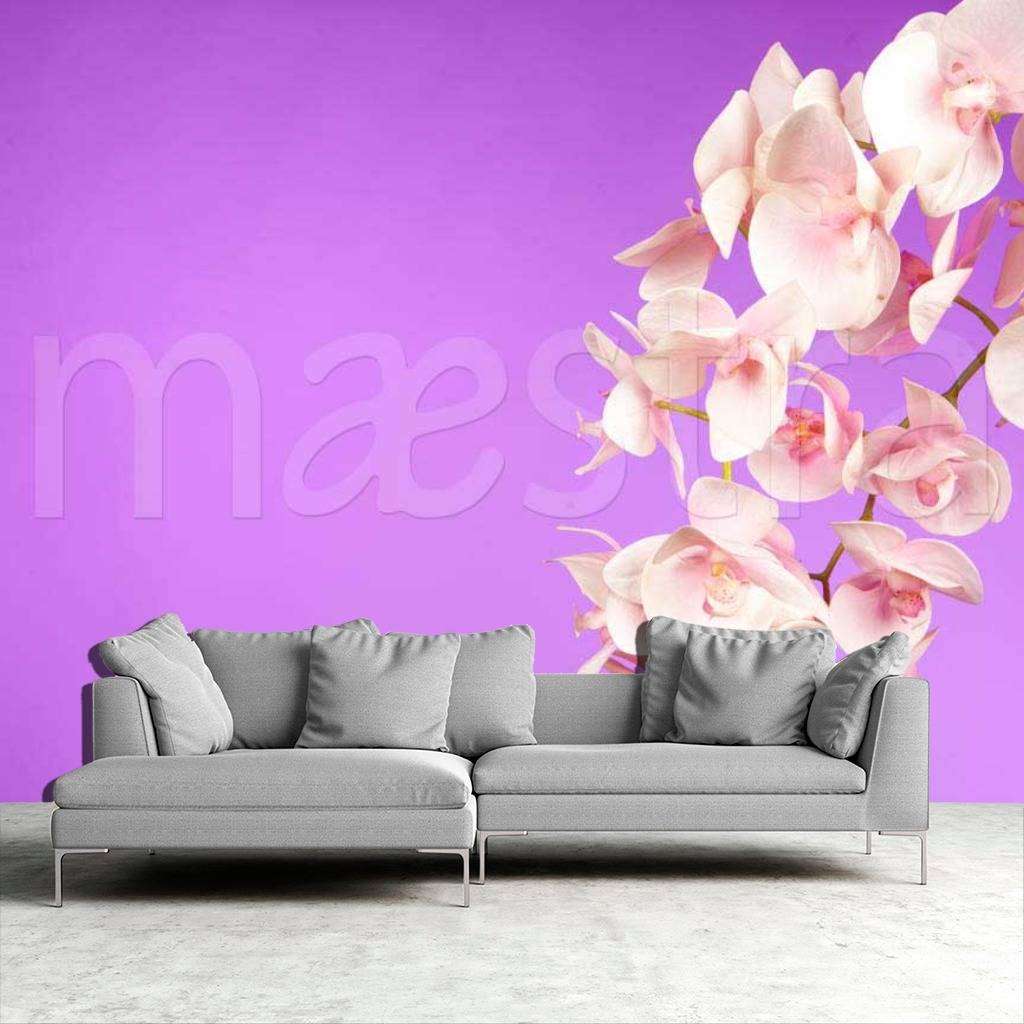 Фотообои Розовая орхидея на сиреневом фоне  10-182